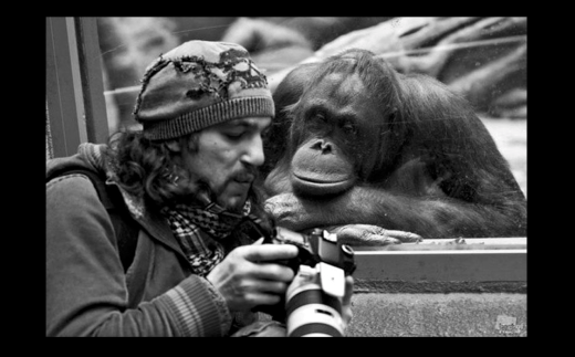 Screen Shot 2017-06-25 at 8.19.56 PM